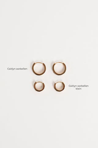 Oorringen met diamanten goud klein - Caitlyn