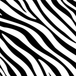 zebra print